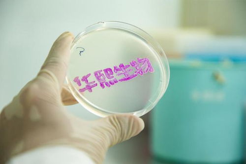 華熙生物2023年報 研發(fā)投入4.46億,以科技創(chuàng)新打造新質(zhì)生產(chǎn)力