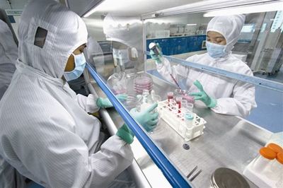 MOVAS貼壁傳代培養(yǎng)細(xì)胞系價格 產(chǎn)地:上海市張江高科技園區(qū) 品牌:DSMZ、ATCC、RIKEN等細(xì)胞庫 廠家:上海鼎達(dá)生物科技