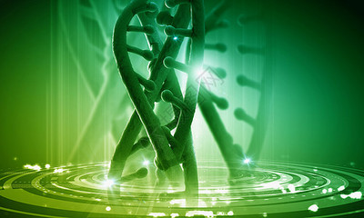 DNA分子高科技DNA分子的生物化學(xué)背景