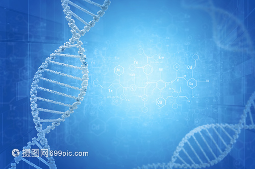 DNA分子高科技DNA分子的生物化學背景