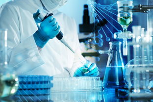 我想讓你的白酒釀的更輕松