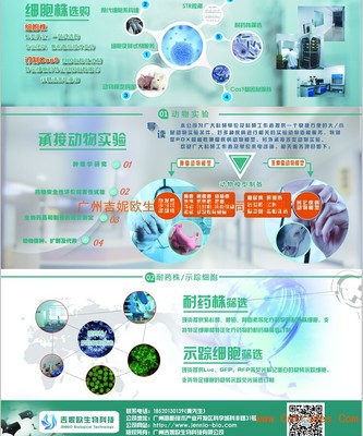 誘發性腫瘤動物模型 吉妮歐生物科技