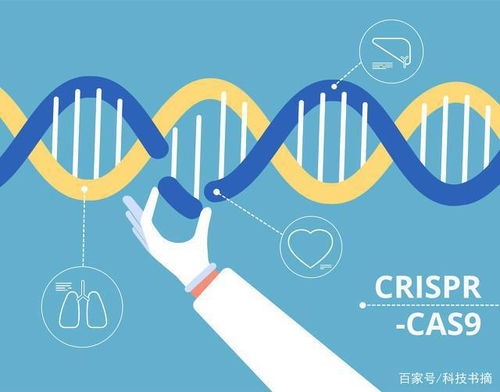 從基因?qū)用?改造 人類 別讓生物黑客稱霸地球 科技書(shū)摘