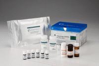 雞17羥皮質(zhì)類(lèi)固醇(17-OHCS)ELISA試劑盒 上海研晶生物科技的精準(zhǔn)檢測(cè)解決方案